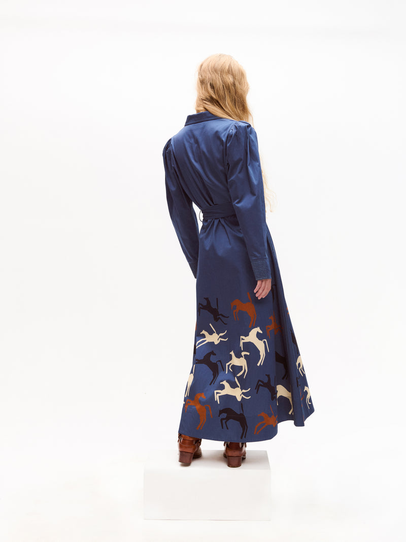 Anais Dress-Carolina K
