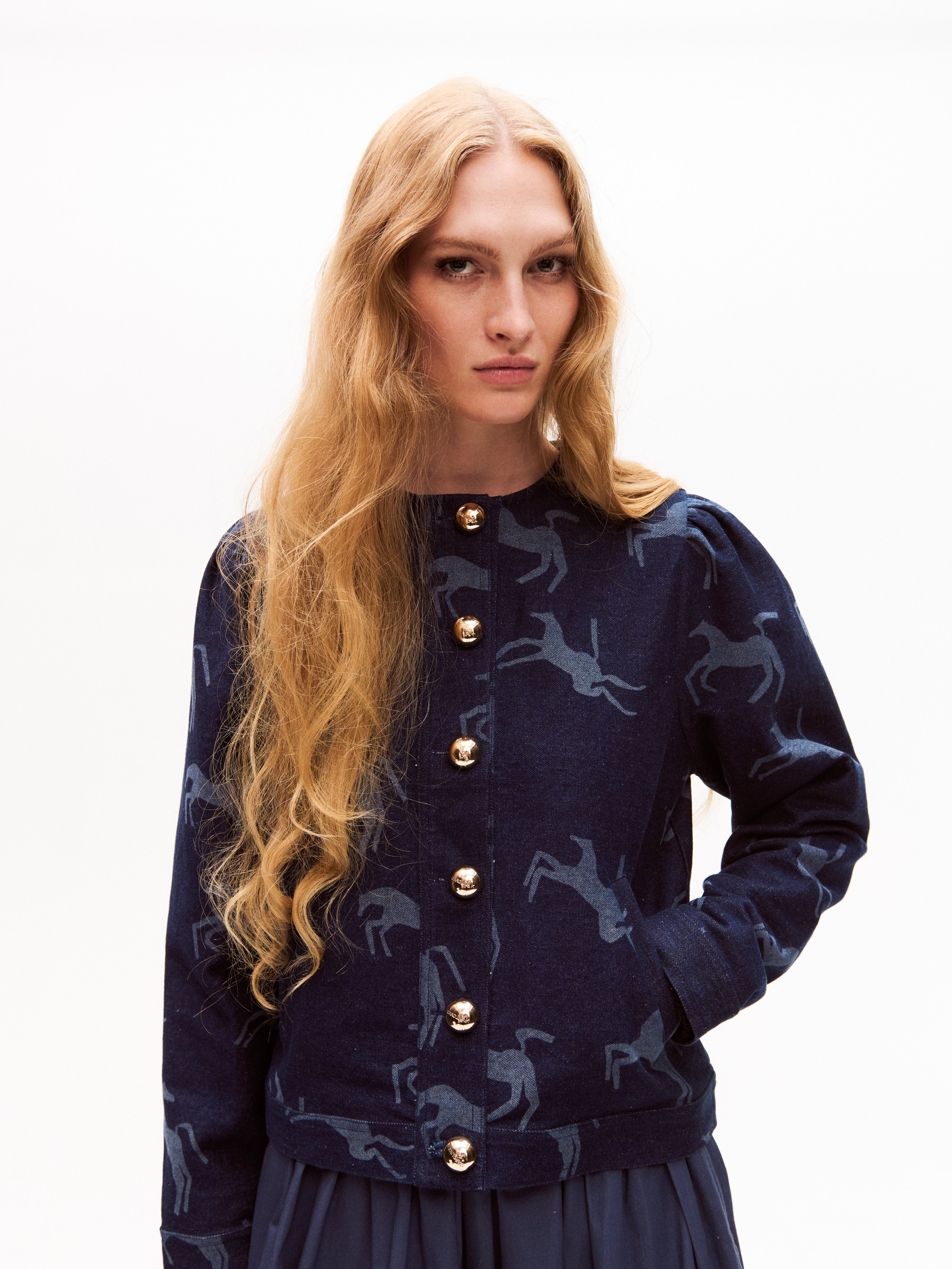 Tam Denim Jacket - Final Sale – Carolina K