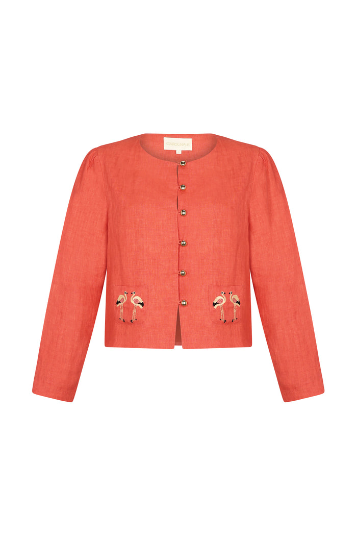 Ali Jacket-Carolina K