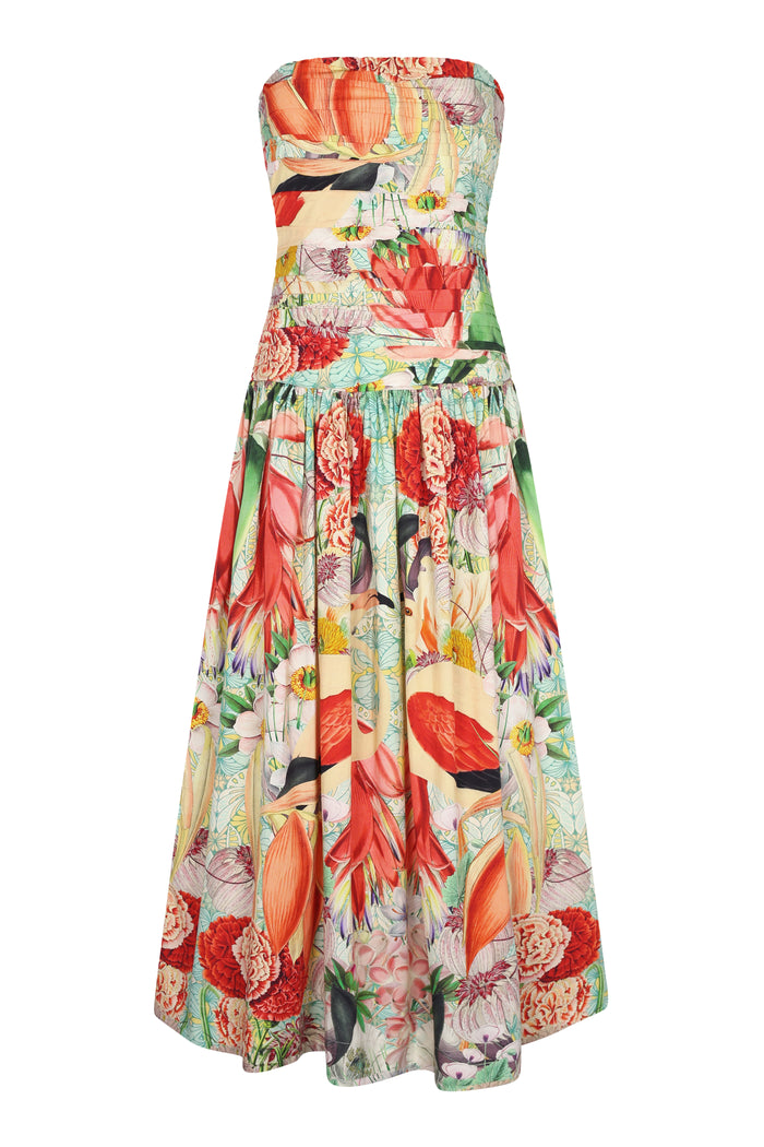 Malla Dress-Carolina K