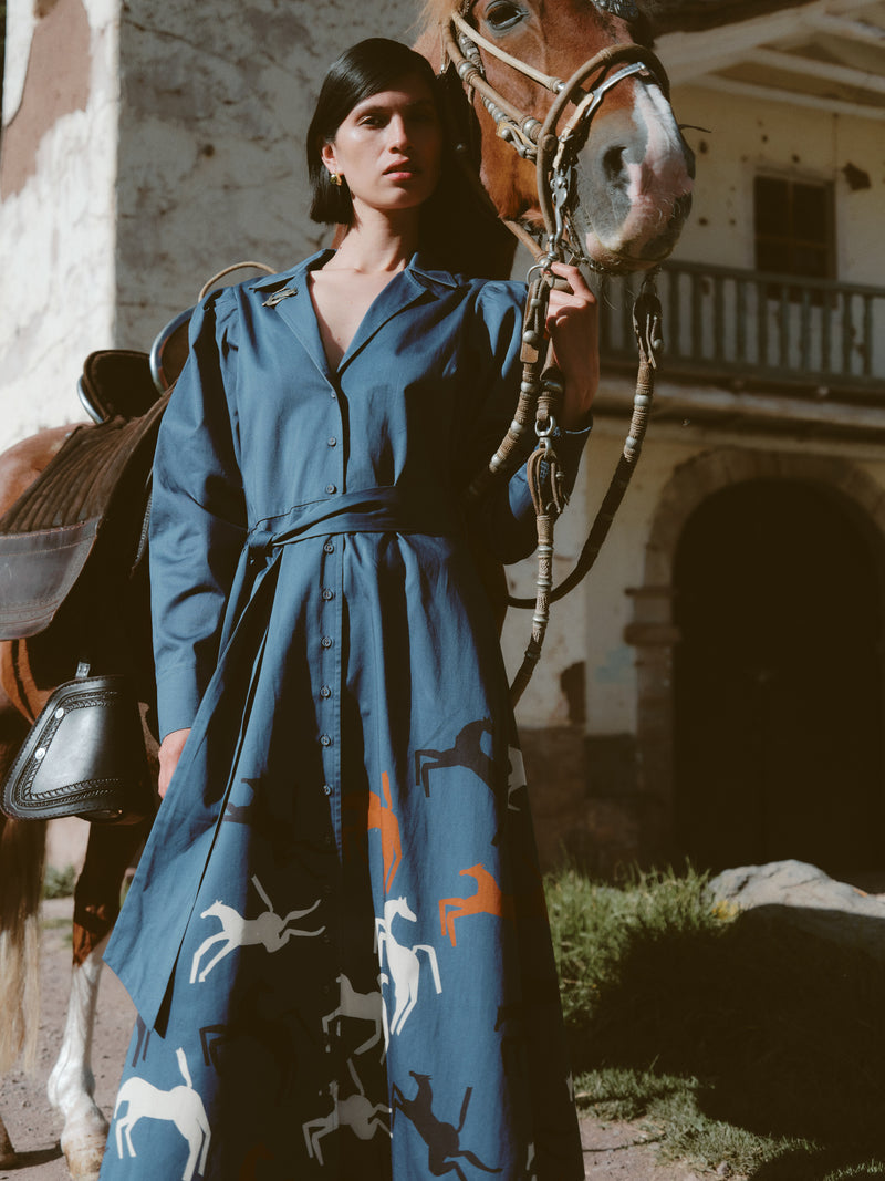 Anais Dress-Carolina K