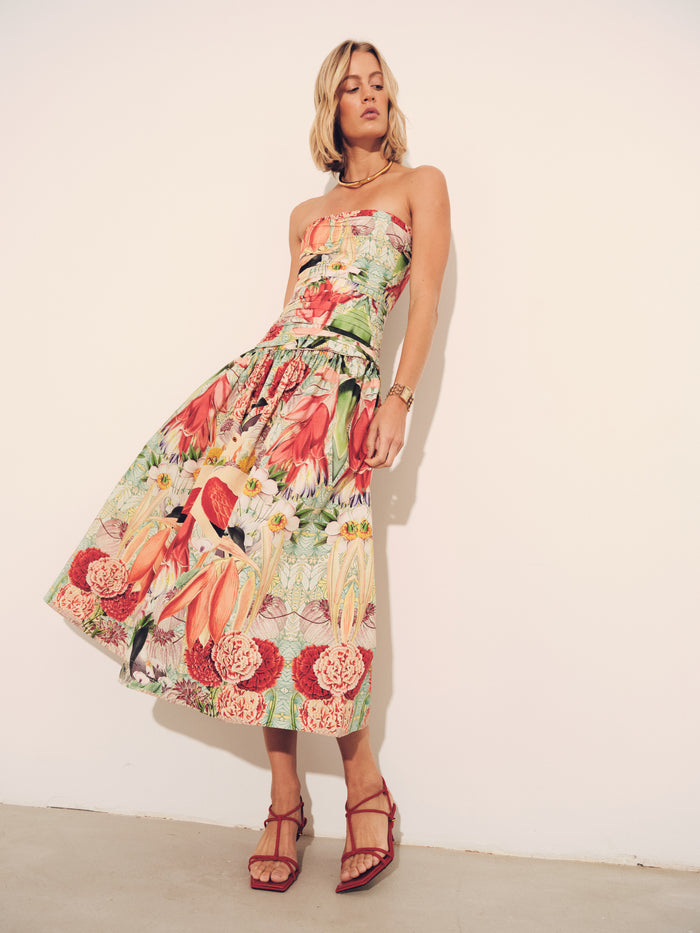 Malla Dress-Carolina K