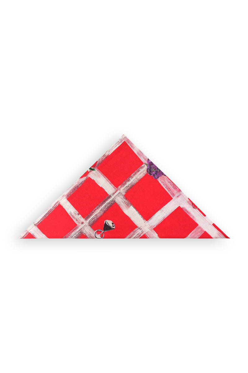 Picnic Napkin (Set of Four)-Carolina K