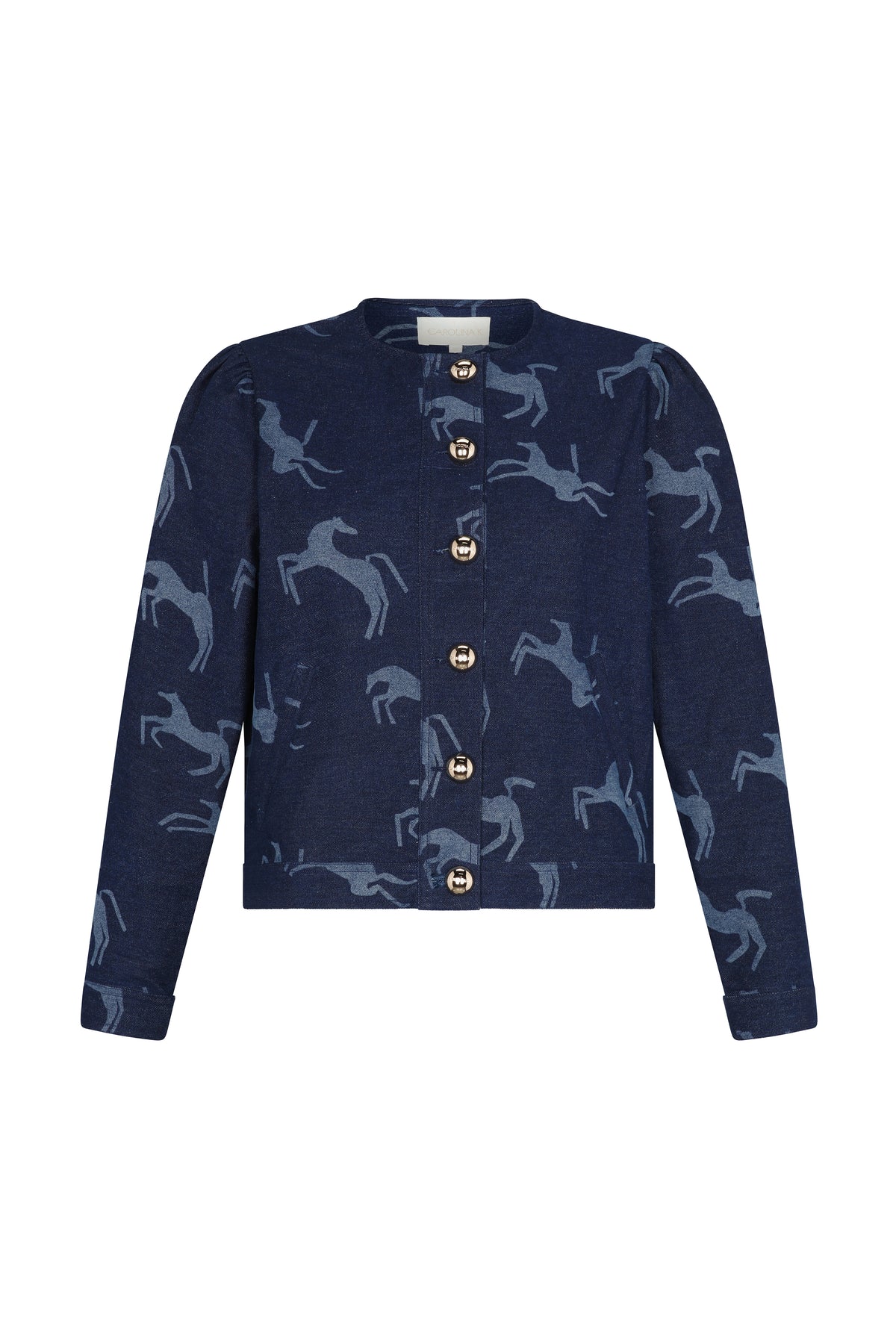 Tam Denim Jacket-Carolina K