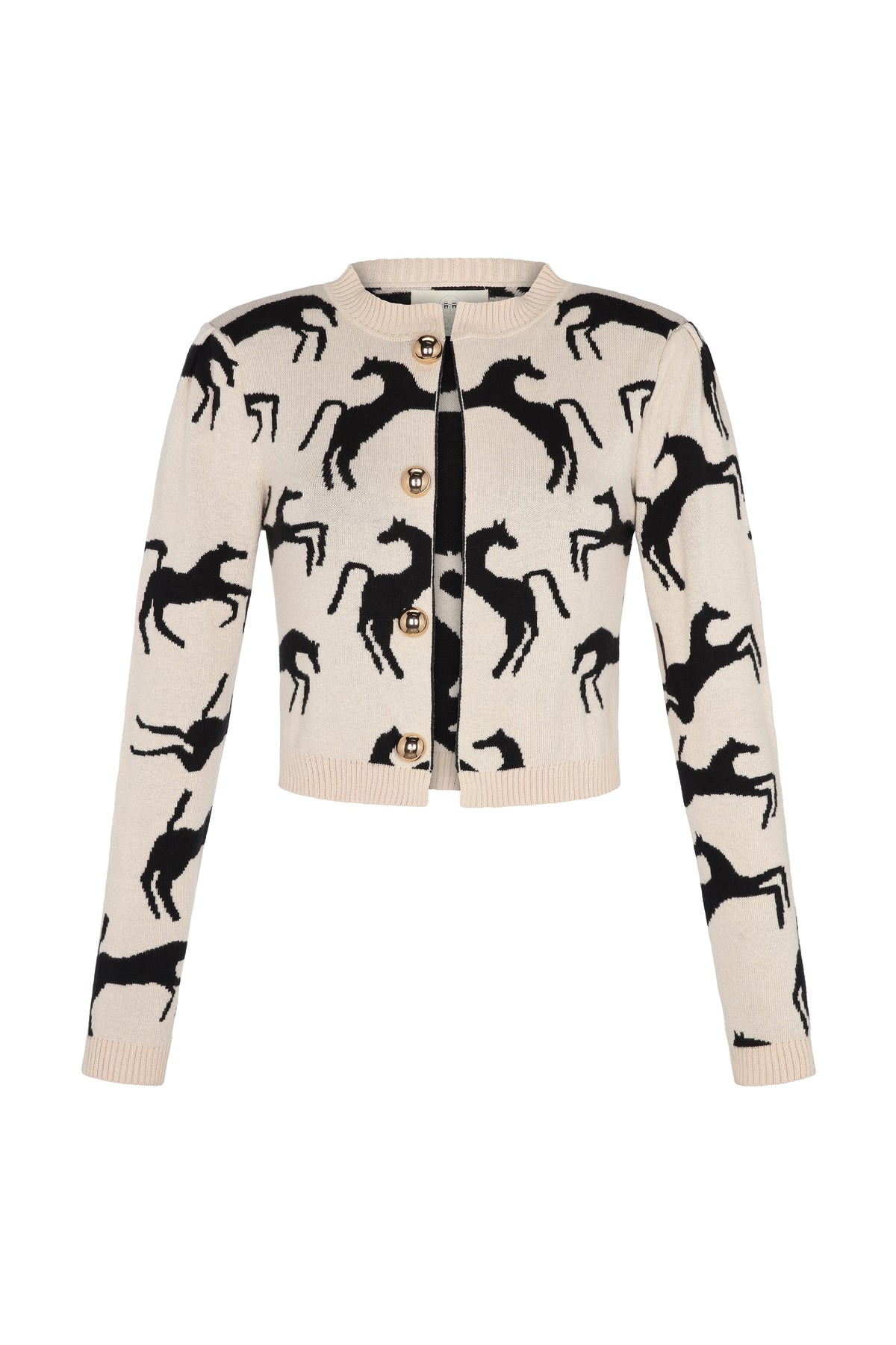 Cardigan Wild Horses-Carolina K